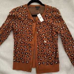 Ann Taylor Cardigan